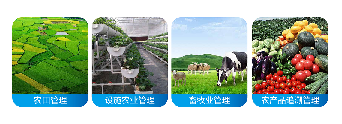 智慧農業管理平臺應用場景圖.jpg
