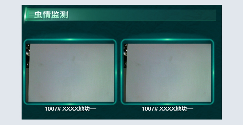 蟲情監測.jpg